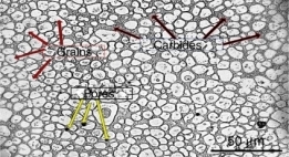 Metallurgical Investigations